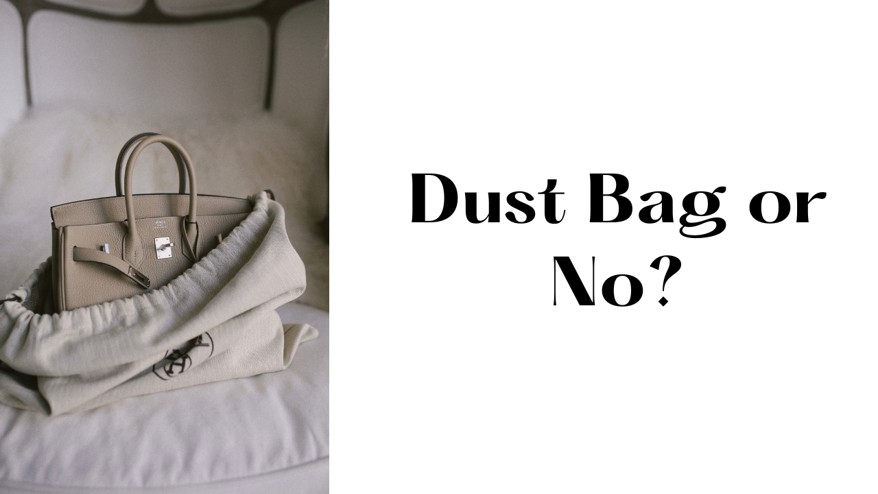 Birkin dust bag sale