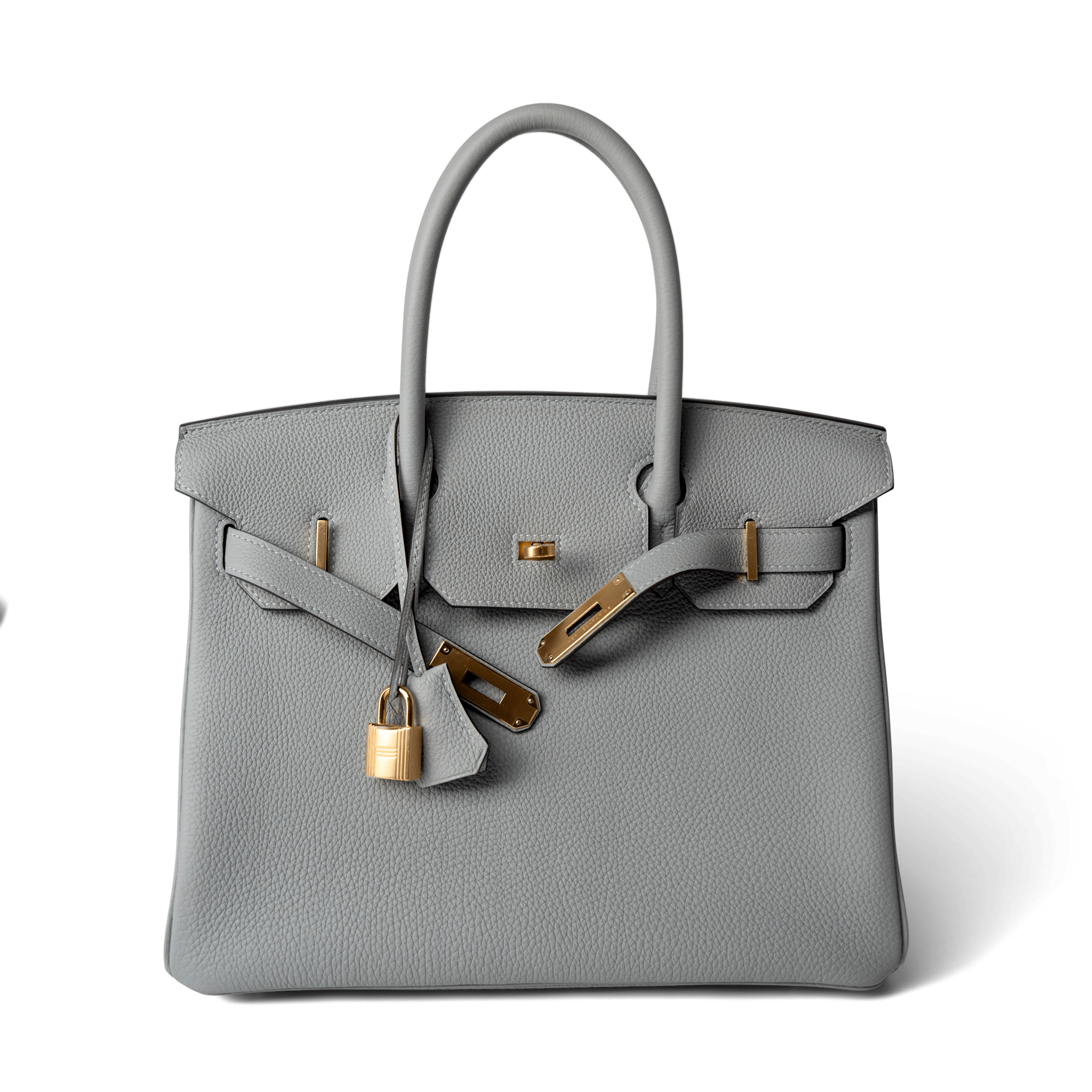 Hermes birkin transparent sale