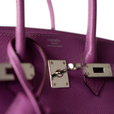 Hermes Handbag Purple Birkin 25 Cyclamen Veau Epsom Palladium Plated L Square Stamp - Redeluxe